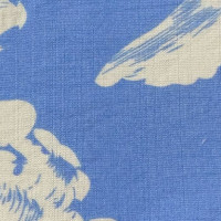 Diseño estampado BLUE
